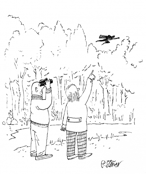 A cartoon of two birdwatchers who see something strange in the sky